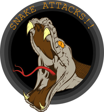 vector illustration of a venomous snake head for poster etc