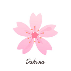 SaKura Japanese flower icon sign with hand writing on white background vector illustration.