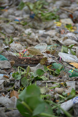garbage waste landscape, many of waste garbage plastic, bottle, paper for background, pollution from garbage dump many, yard of plastic waste trash dirty rubbish