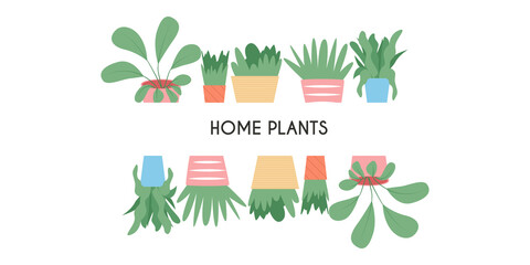 Colorful cute house plants in pots vector flat cartoon card design isolated on white background.