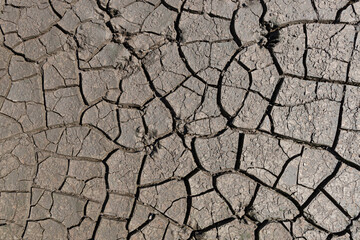 Cracked dry earth background