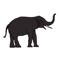 elephant Asia standing, isolated white background graphics design vector Illustration