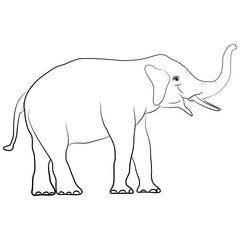 image  white elephant Asia standing isolated on white background, graphics design vector Illustration