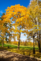 Naklejka premium Autumn city park