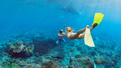 Happy family vacation. Young couple in snorkeling mask hold hand, free dive underwater with fishes...