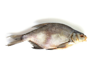 isolated close up top view single dried salted bream fish on a white background