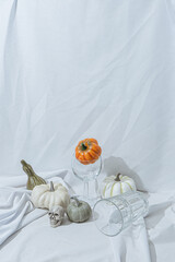 Retro styled still life arrangement with pumpkins and glasses. Halloween holiday theme  creative concept. Autumn colors. Seasonal background.