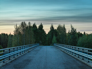 Fototapeta premium Empty bridge road leading to forest