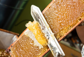 Extracting honey from honeycomb concept. Close up view of beekeeper cutting wax lids with hot knife...