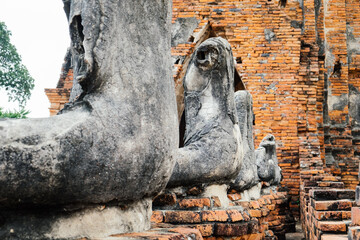 Fototapeta na wymiar Wat Chaiwatthanaram in the city of Phra Nakhon Sri Ayutthaya Historical Park, Thailand. The best known temple and major tourist attraction. UNESCO World Heritage Site.
