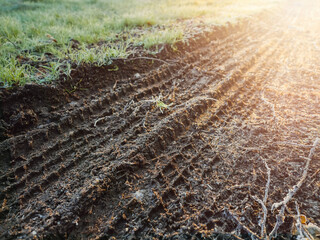 Track prints in a field covered with frost at sunrise, Warm yellow sun light in top right corner. Winter background