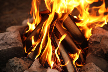 Beautiful bonfire with burning firewood outdoors, closeup