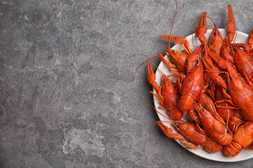 Delicious boiled crayfishes on grey table, top view. Space for text
