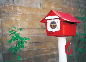 red mailbox standing outside of old house