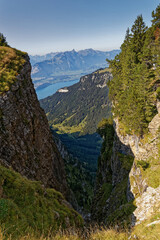 paysage des Alpes Suisses