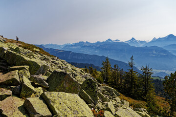 paysage des Alpes Suisses