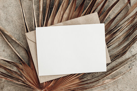 Summer stationery still life. Closeup of blank card mock-up and craft envelope on dry palm leaf. Grunge beige concrete background. Flat lay, top view. Tropical vacation concept. Moody boho design.