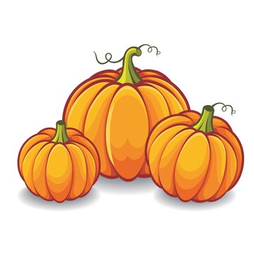 Pumpkin vector illustration