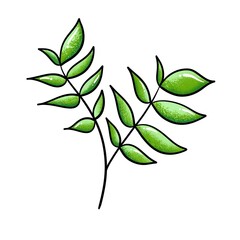 Green botanical doodle illustration. Cartoon leaves graphic