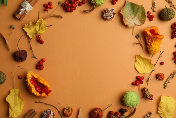Fototapeta na wymiar Dried flowers, leaves and berries arranged in shape of wreath on brown background, flat lay with space for text. Autumnal aesthetic