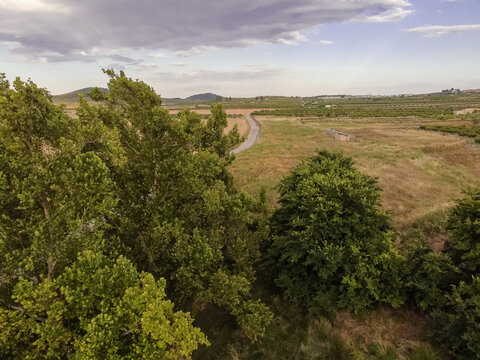 paisaje de trigales a vista de drone