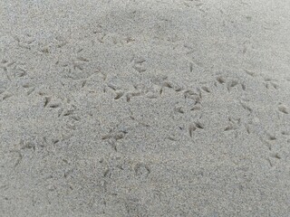 Huellas en la arena