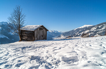 Sonnige Einsamkeit mit Spuren im Schnee: Bergh&uuml;tte und kahler Baum in den &ouml;sterreichischen Alpen 