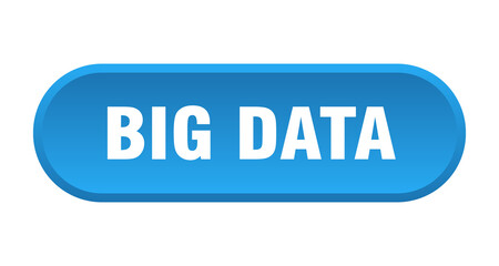 big data button. rounded sign on white background
