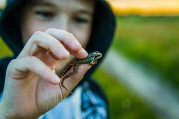 The child is holding a small frog in his hands.