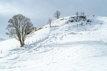 sonnige Winterlandschaft mit Spuren im Schnee in den Alpen