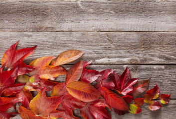 Naklejka na ściany i meble Colorful autumn leaves on wooden background