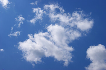 Light blue sky background with clouds.