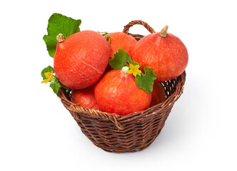 Fresh farm orange pumpkins