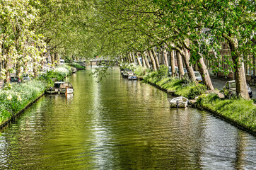 View along the length of Noorder Boerenvaart canal in Enkhuizen, The Netherlands, lined with trees, on a sunny day in springtime