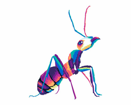 color full ant illustartion on isolated white background