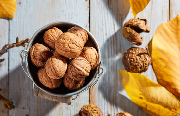 Organic walnuts with leafs