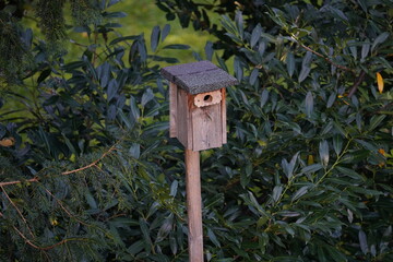 wooden bird house