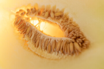 Macro photo of melon with illumination from the bottom of the fruit