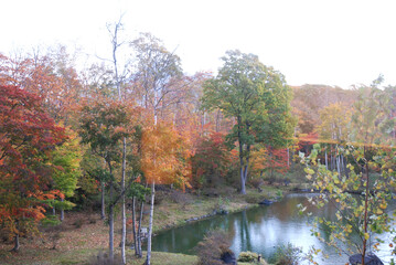 onuma quasi national park @Hokkaido.japan / 秋の大沼国定公園 ＠北海道