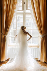Beautiful bride in an elegant dress poses in front of the window.