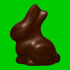 Coniglietto di Pasqua fotografato su sfondo colorato