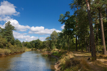 Forest river landscape. River forest view. Forest river summer scene. Forest river water