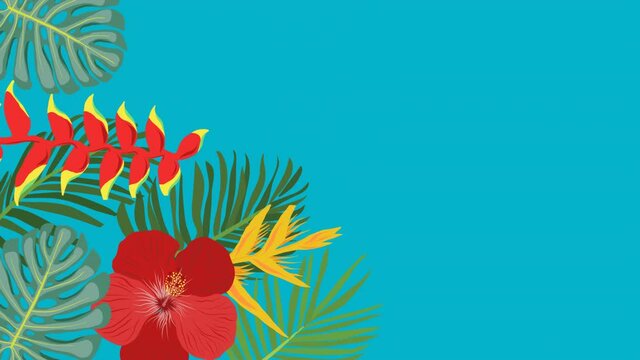 Animation with tropical exotic leaves and flowers on turquoise background, looped motion graphics, Copy space for text or logo.
