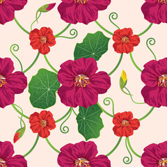 seamless vector background with flowers of nasturtium