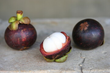 Mangoustan | Mangoustan