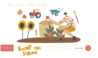 Gardener Character Harvesting Ripe Vegetables Landing Page Template. Man Farmer Working on Garden Bed Harvesting Tomato