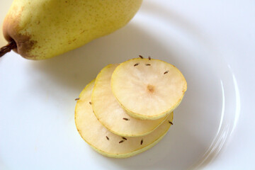 Fruchtfliegen an einer Birne