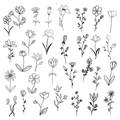 pattern with flowers. set of floral elements for your design.Vector EPS 10.