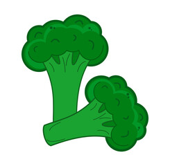 Broccoli green twigs. Vector isolated illustration on white background