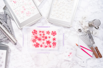 Fondant snowflake shapes